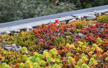 the cost of St Brides green roof installation