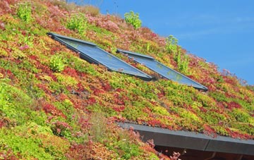 St Brides living roof systems