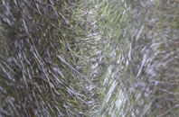 St Brides fibreglass roof work